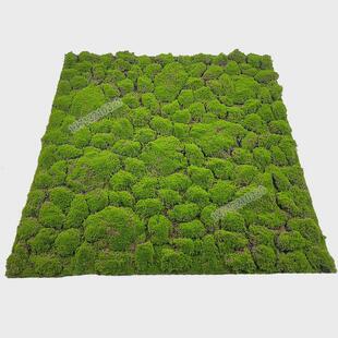 仿真青苔草皮植绒人造装饰假草坪绿植墙微景观盆景造景苔藓草皮