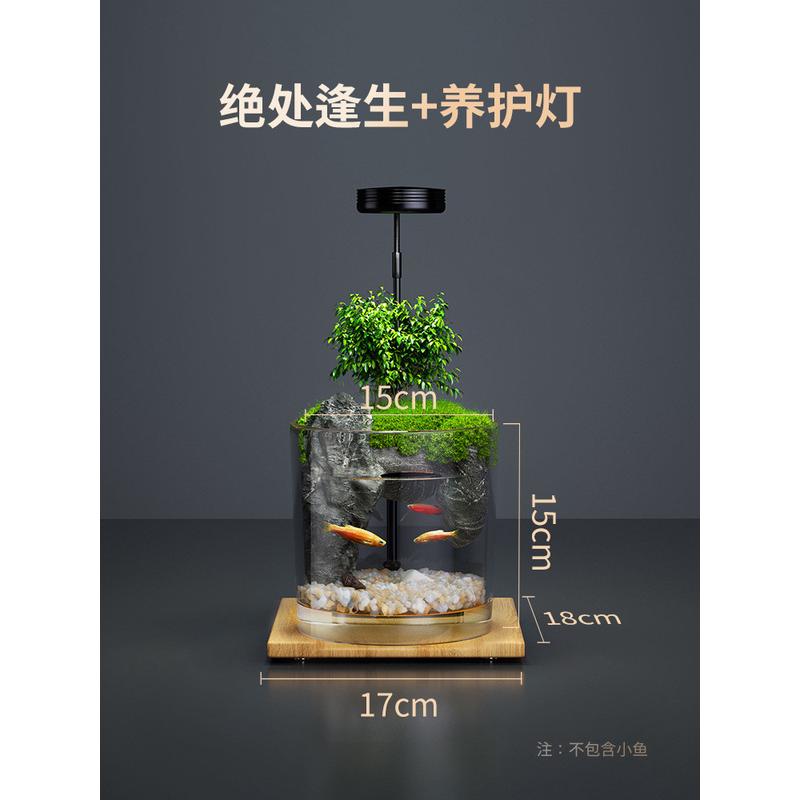 办公室桌面生态瓶自微景观循环免打理微生态玻璃微观鱼缸空瓶造景