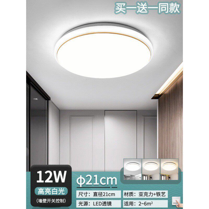 大门口吸顶灯出租屋照明灯餐饮商铺灯可换超亮灯主卧室日式遥控