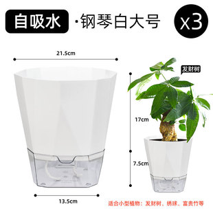 懒人自动吸水轻奢大花盆感家用绿萝水培储水双层花盆大号塑料其他
