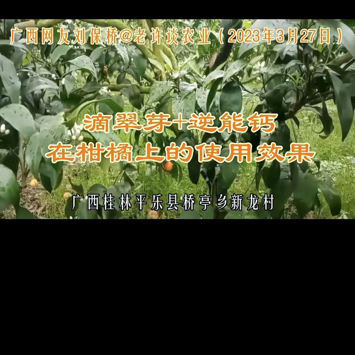 叶面肥保花保果果树草莓促进花芽分化滴翠芽花果蔬菜有机水溶肥