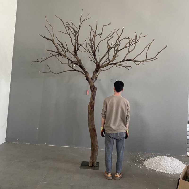 干树枝天然装饰干枝枯枝造型实木树干造型树枯木枯树造型