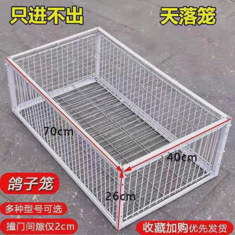 撞门笼天落赛铁笼信鸽放飞加密收笼器捕鸽自动屋顶户外陷阱笼鸽用