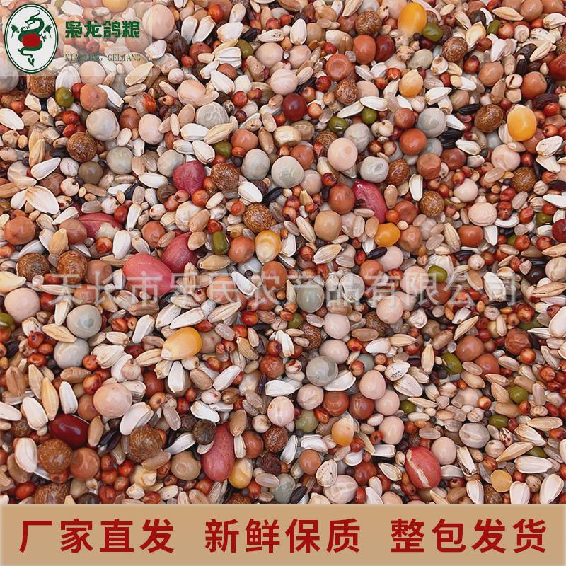 枭龙鸽粮幼鸽a01营养鸽子食赛鸽观赏鸽信鸽鸟食50斤浙江沪皖包邮