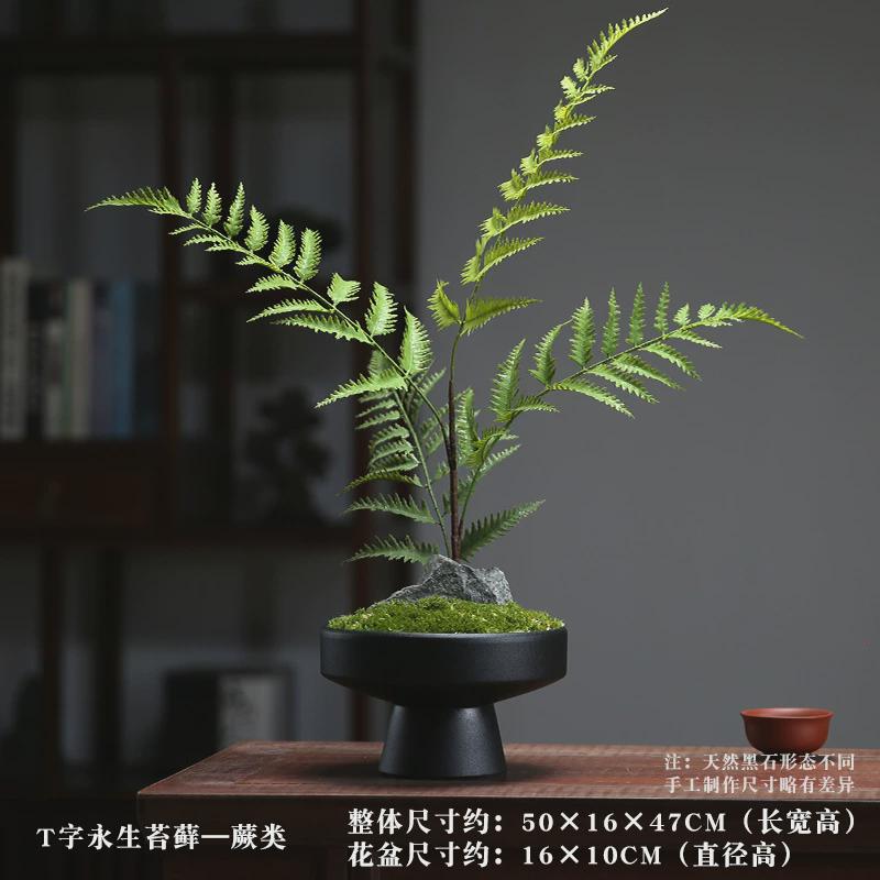 仿生绿植造景苔藓微景观蕨类植物盆栽客厅装饰室内盆景新中式摆件