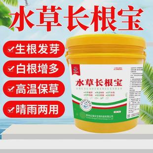 水草草根宝水产养殖水草生根发芽高温保长粒粒肥龙虾蟹塘壮根护草