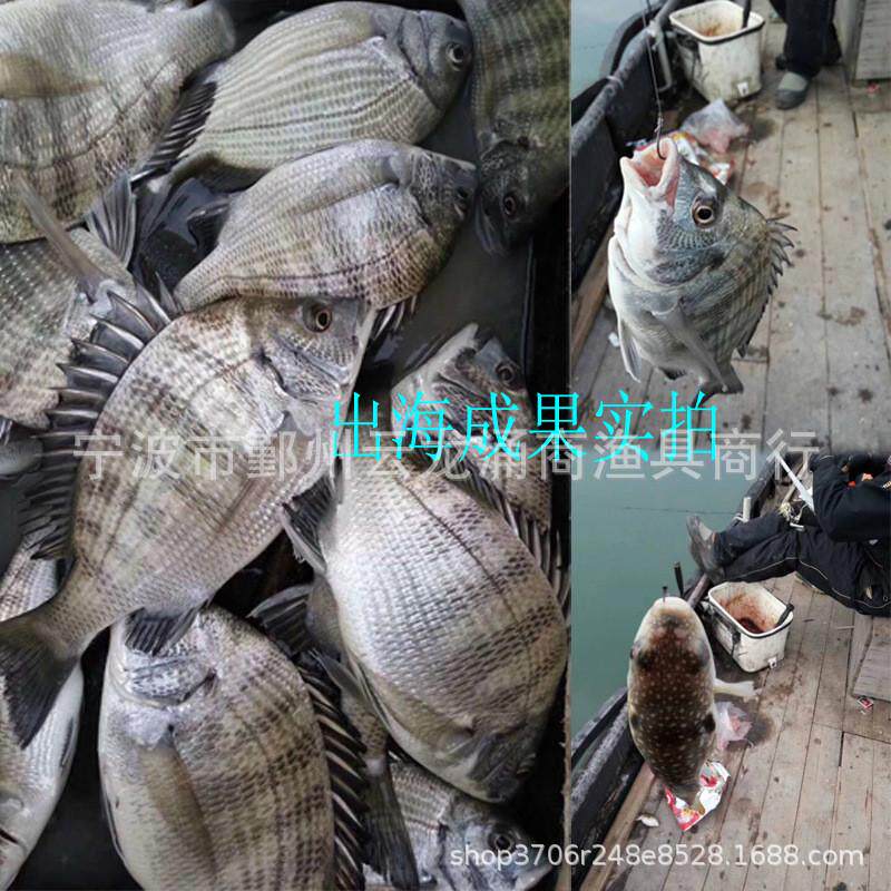 台湾幸运7白千又海钓窝料海钓矶钓窝料件3.5kg*8袋/饵料
