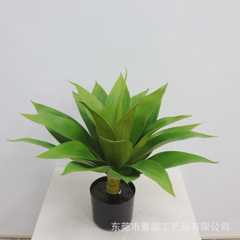 仿真植物龙舌兰盆栽办公室假花客厅装饰摆件仿真绿植多肉盆景家居
