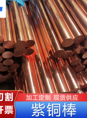 铜棒切割销售镀锡2030mm40mm50mm纯铜直径紫铜棒