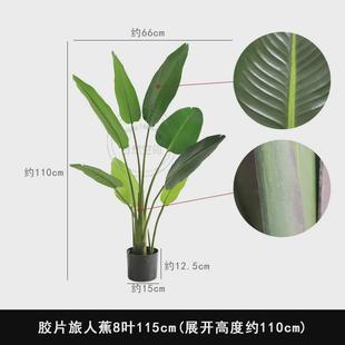 胶片叶旅人蕉升级款 新款 北欧INS风客厅落地网红绿植大型仿真植物