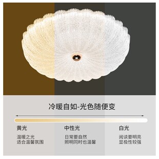 led灯具餐厅灯家用水晶吸顶灯卧室客厅灯高级感大灯中山现代简约