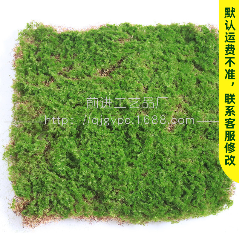 大灰藓草坪假草皮人造绿色塑料装饰人工绿化景观装饰苔藓草坪
