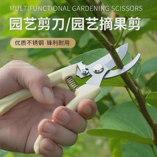 园艺剪刀修枝剪家用修剪树枝果树竹签园林花卉专用花艺剪子摘果剪