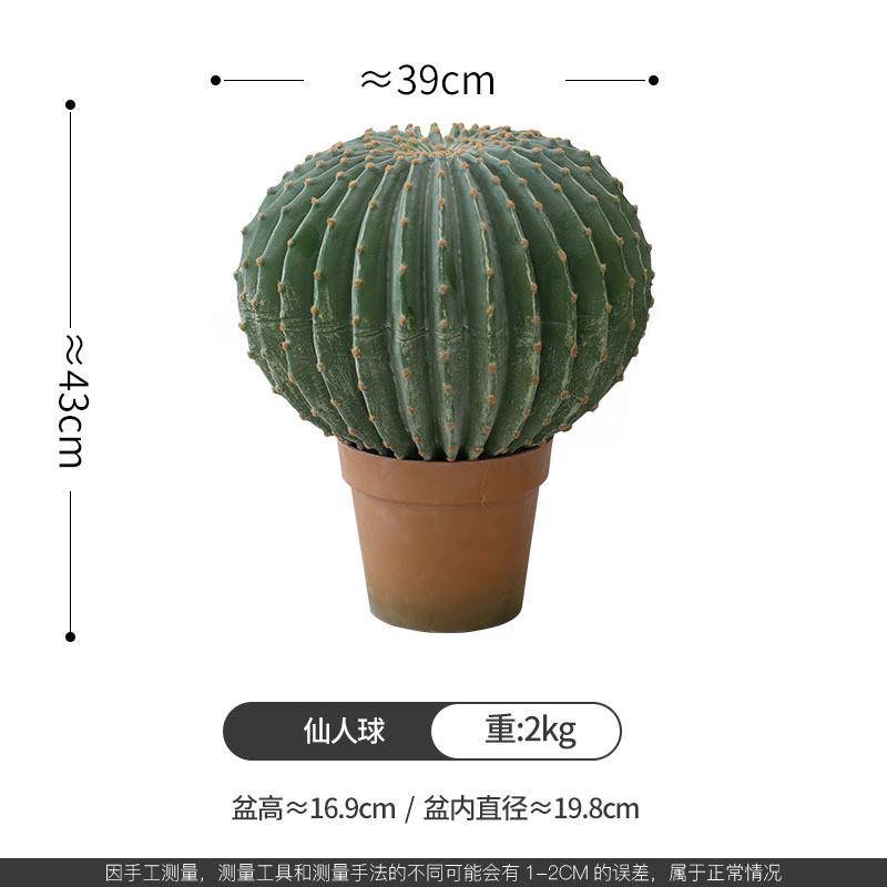 下装景观仙人掌造景组合室内楼梯仿真植物饰假绿植盆景落地摆件