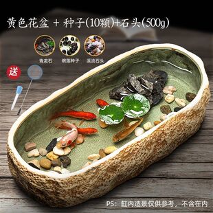 阳台鱼缸养鱼缸生态造景碗莲陶瓷盆家用古法水培池小型装饰仿石头