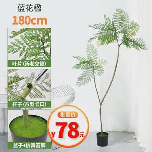 仿真绿植蓝花楹叶中式盆栽室内客厅装饰轻奢摆件假树造景仿生植物