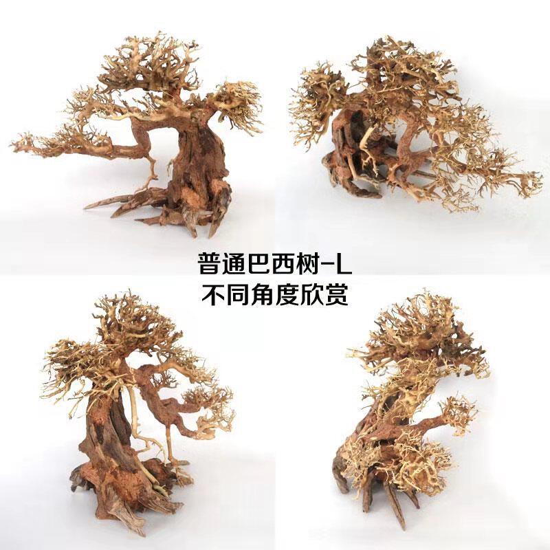 巴西大型沉木迎客松鱼缸造景木头草缸大号树莫斯树成品杜鹃根骨架