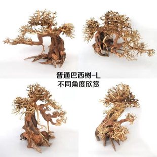 巴西大型沉木迎客松鱼缸造景木头草缸大号树莫斯树成品杜鹃根骨架
