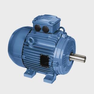22铝壳 铸铁三相异步交流电动机 南通万高电机w20 巴西weg电机