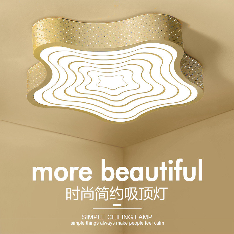 时尚led吸顶灯现代简约包邮客厅灯阳台餐厅卧室灯海星铁艺灯具