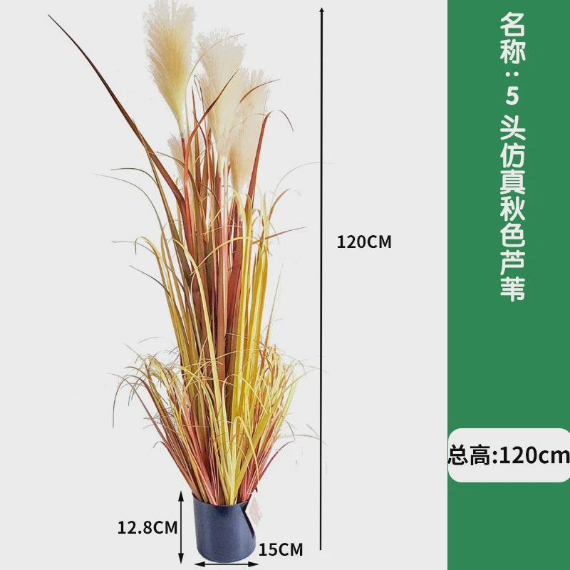 仿真植物芦苇5头草叶仿真芦苇草盆栽洋葱秋色家居装饰摆件仿真花