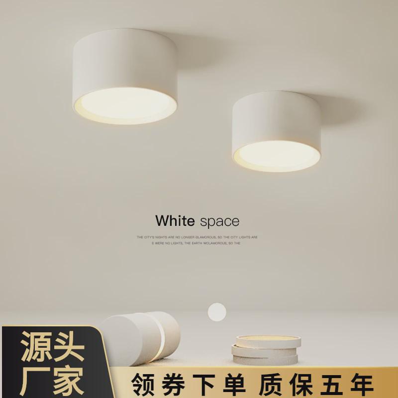 明装北欧个性创意阳台飘窗小吸顶灯简约现代衣帽间走廊玄关灯过道