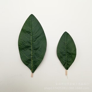 婚庆花仿真植物仿叶兰叶单片绿色丝印真玉仿真玉兰花配件叶子