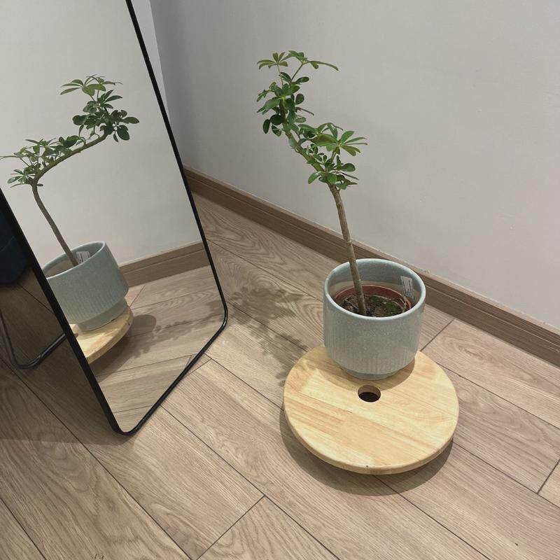 实木制花盆移动托盘底座加厚万向轮带刹车静音圆形鱼缸承重花托架
