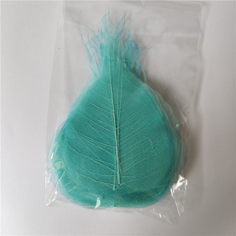 菩提叶树叶画叶子叶脉叶子画干树叶手工贴画装饰画天然diy
