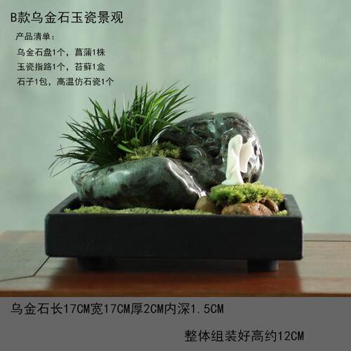 文竹苔藓水培微景观菖蒲盆景绿植乌金石办公室桌面禅意摆件吸水石