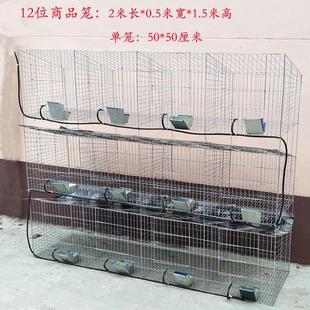 兔笼子加粗加大12位24位养殖场兔笼子母种兔笼大号家用养殖兔笼舍