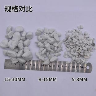 陶瓷玻璃轻石水处理滤料多孔透气兰花用大颗粒珍珠岩发泡陶瓷颗粒