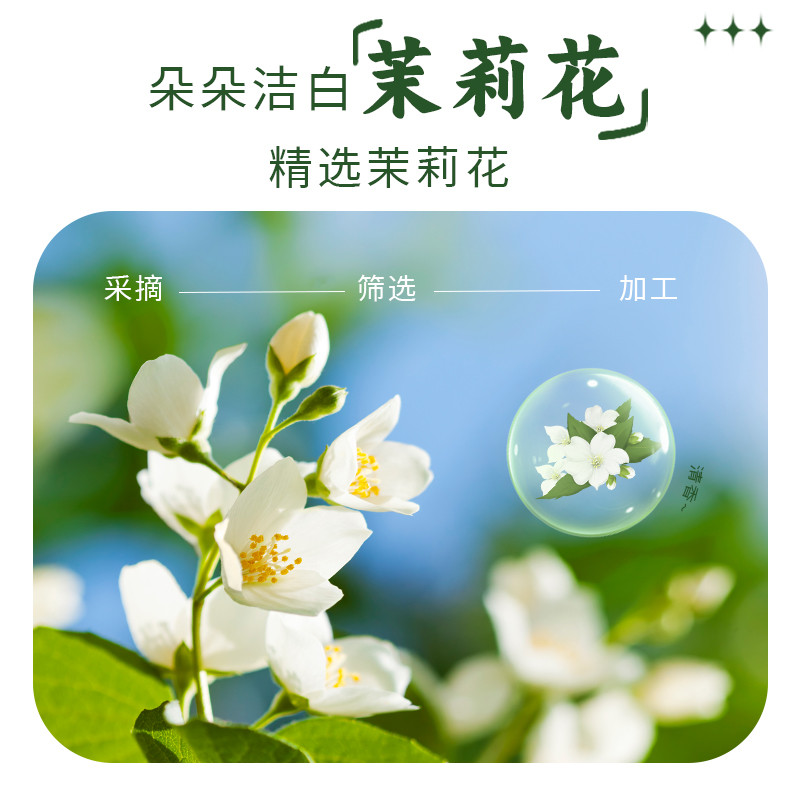 新货茉莉雪芽奶茶0添加蔗糖固体绿茶饮料0反式健康下午茶网红抖音