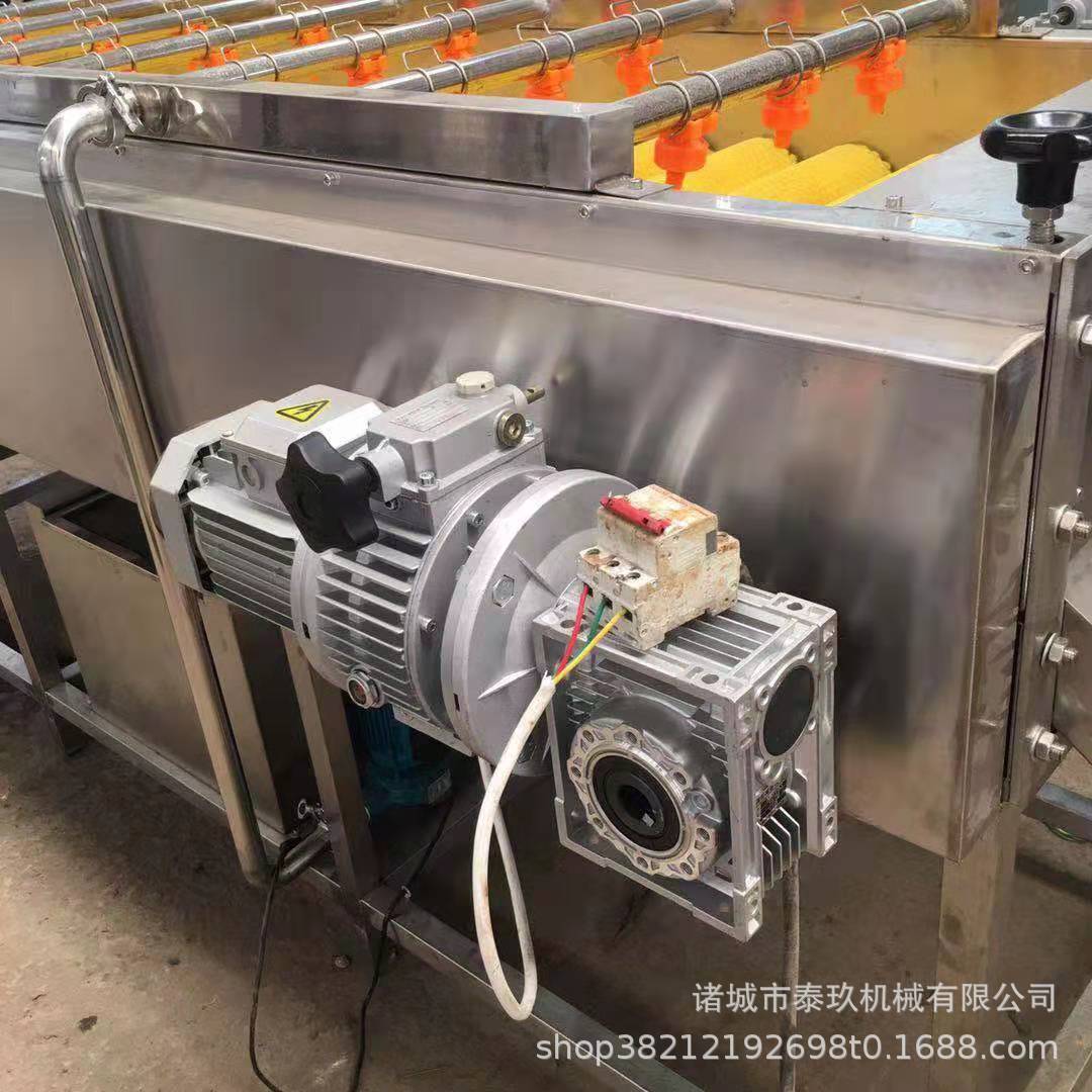 蒲扇白菜叶类清洗机竹叶清洗设备芦苇叶清洗机器芭蕉叶毛辊洗叶机