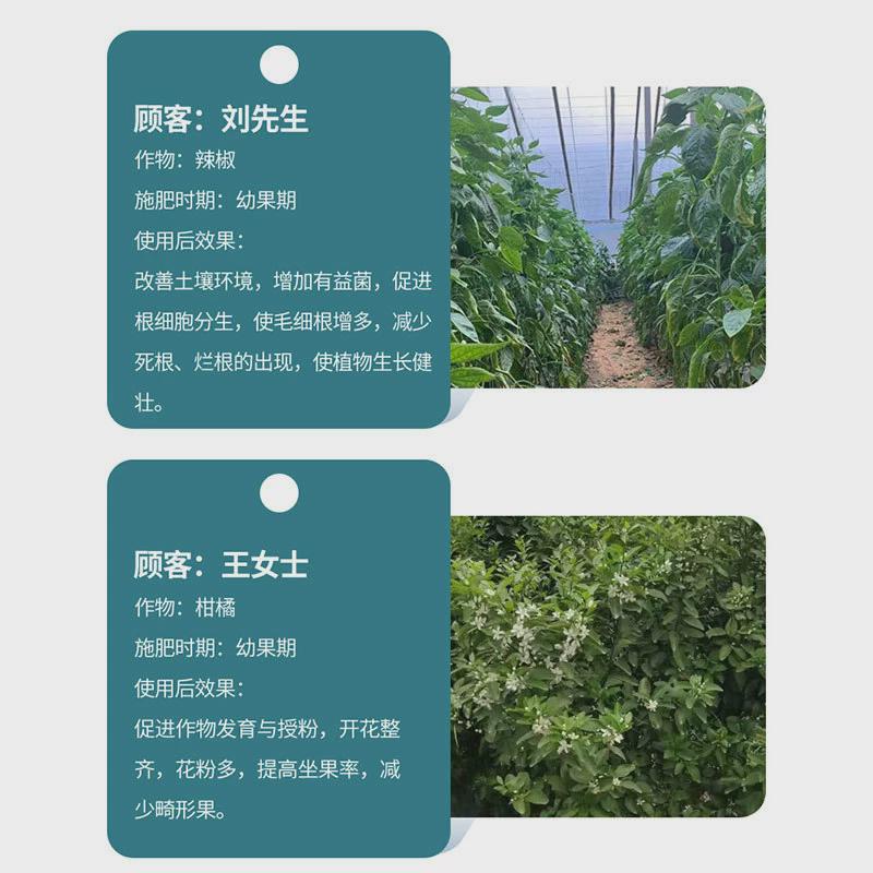 海藻精绿色酶解农用园林花卉土壤改良喷施冲施有机水溶肥酸海藻