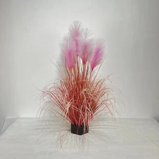 仿真狗尾巴草绿植盆景芦苇洋葱室内8090cm草家居装饰摆件植物盆栽