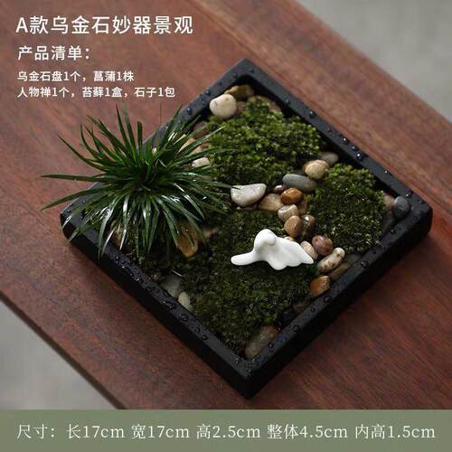 文竹苔藓水培微景观菖蒲盆景绿植乌金石办公室桌面禅意摆件吸水石