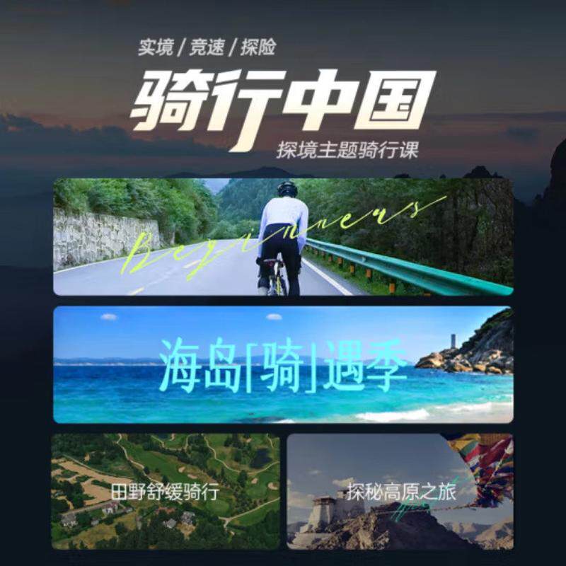 野小兽自发电动感单车家用静音健身车室内器材运动m1p