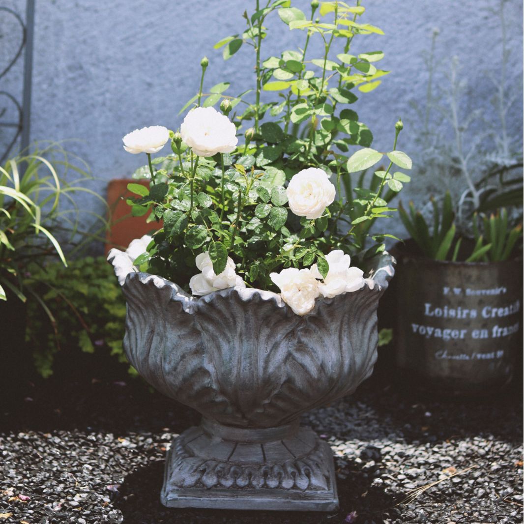 阳台批发氧化镁复古酒杯花瓣型花盆庭院厂家装饰造景摆件工艺品