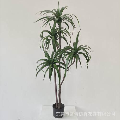 ins风格血仿真绿植盆栽家居落地饰品摆件仿真巴西铁龙常青铁树