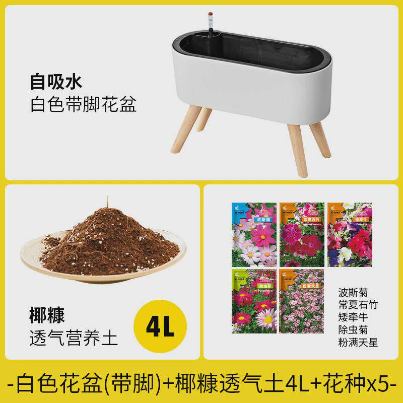 阳台家用自吸水长方形花盆玫瑰种植盆月季盆栽种菜种花小花箱