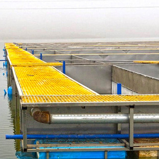 厂家粪栅玻璃钢格栅鸽舍养殖场漏热销格板隔栅篦子十字格栅板