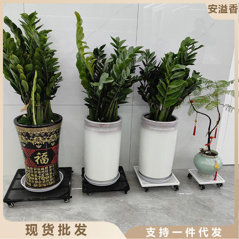 热销万向轮带刹车静音移动花盆托盘铁艺加厚特大号底座承重带滚轮,鲜花速递/花卉仿真/绿植园艺,花盆,淘宝优惠券,粉丝福利购,淘宝优惠卷