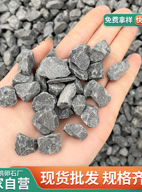 灰色砾石子厂家直销园林工程铺路石子水池鱼缸垫底碎石头块