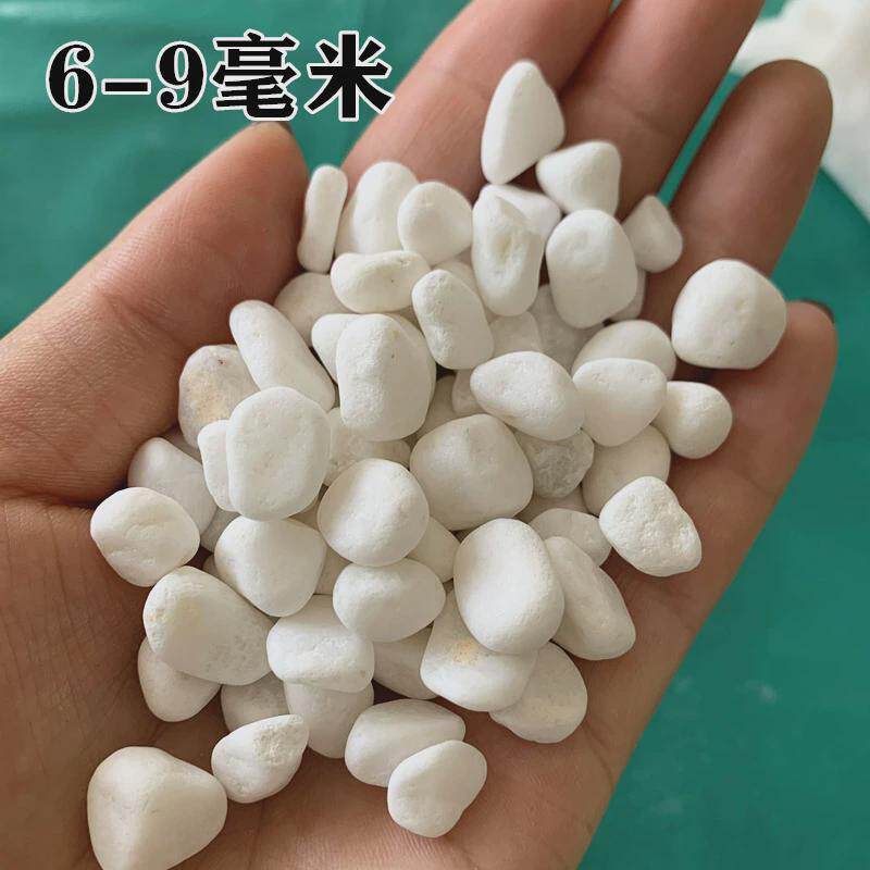 白色抛光鹅卵石鱼缸盆栽铺地庭院白石子小白石头洗米石白色