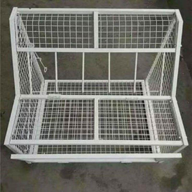 鸽子跳笼鸽门信鸽赛鸽用品进出舍只进不出笼门撞门电子跳笼