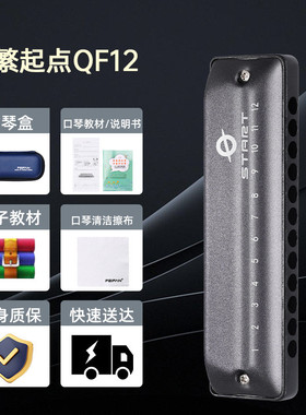 feifan/飞繁12孔初学者全音阶低音带fala布鲁斯口琴成人演奏口琴