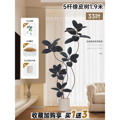 高端轻奢大型橡皮树盆栽仿真绿植客厅装饰摆件沙发旁仿生植物盆景