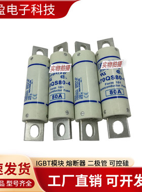 热销熔断器法国a100ud73li1000m300690a100ud73li1100n300691