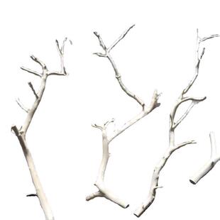 新中式风花瓶干树枝原木杈艺术枝白树枝枯木仿真枝干树枝假树树枝